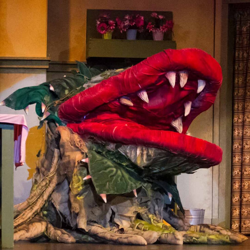 Little Shop of Horrors